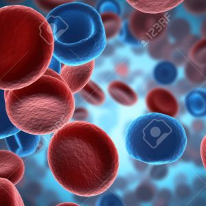 Plasma-Derived Products