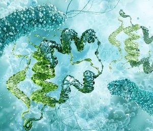 Recombinant Hormonal Products